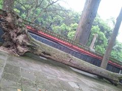 -峨眉山报国寺
