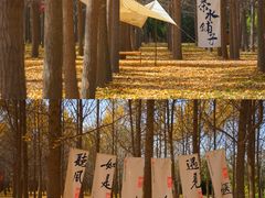 -汉景帝阳陵博物院