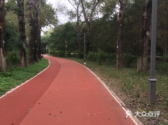 南湖公园，地理位置得天独厚，多路公交车通过