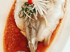 -宝悦大酒楼·宴会厅·点心·粤菜