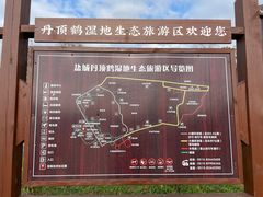 -盐城丹顶鹤湿地生态旅游区