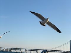 -星海广场