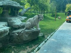 -北京野生动物园