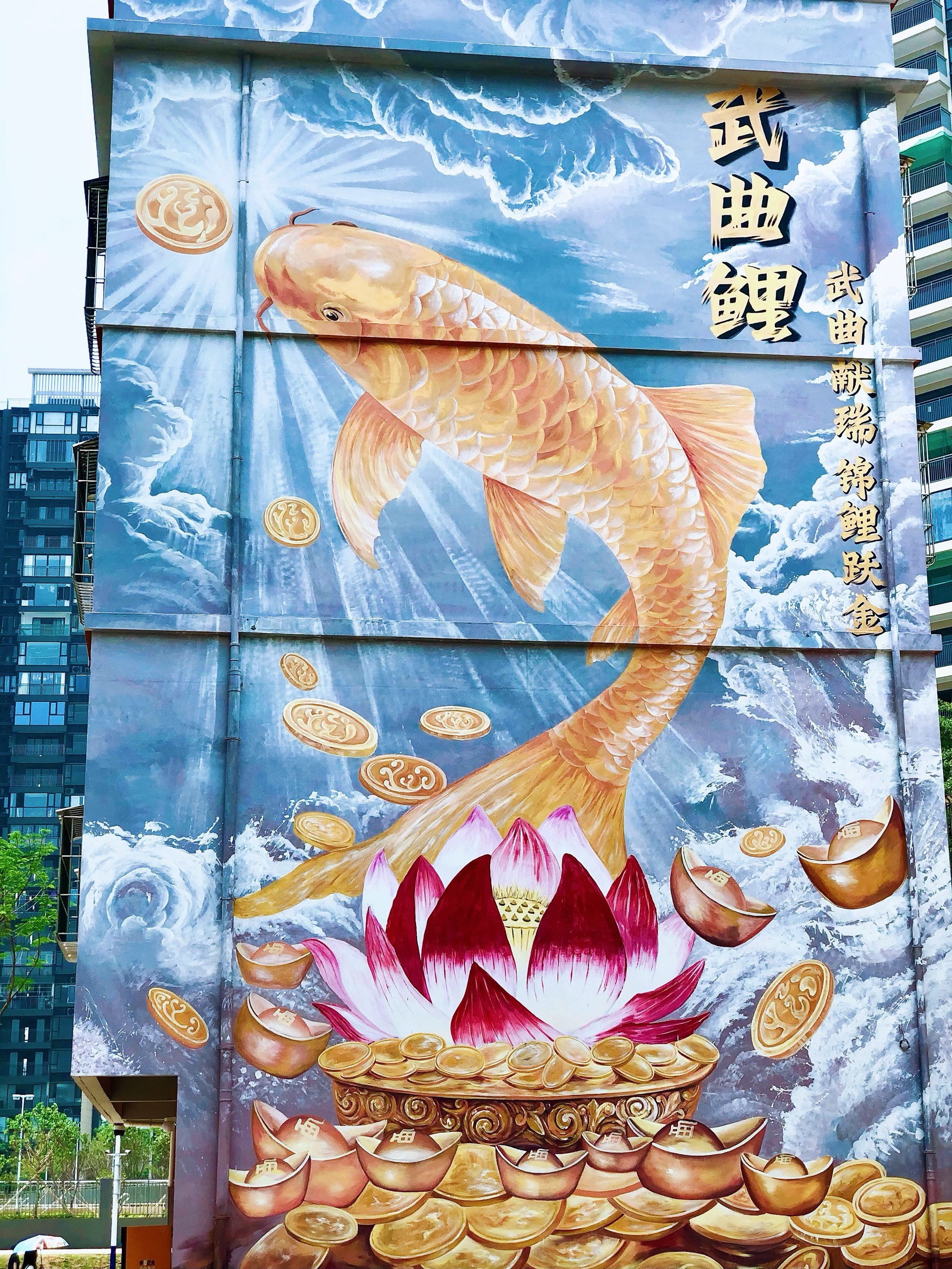 在苏村遇见锦鲤