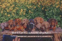 -凡碧诗毛孔清洁收细