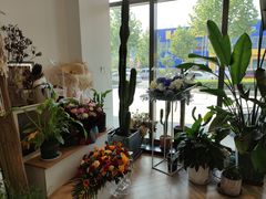 -ChaKo Flora ·茶子花艺 (市北店)