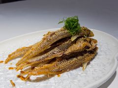-鹿园 MOOSE(长宁店)