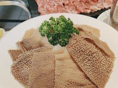 -华晟山城火锅(开发区港西东阁里店)
