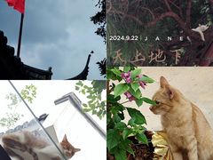 -龙华寺