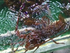 长青路覃记海鲜-覃记海鲜美食餐厅