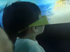 -泉城欧乐堡海洋极地世界