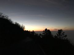 -武陵山森林公园