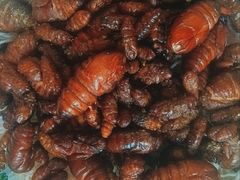 -小仙居·农家宴烤羊· 农庄