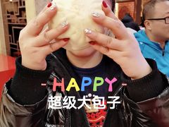 -鸿恩陶然大观园
