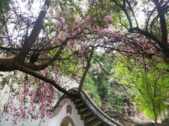 -深圳国际园林花卉博览园