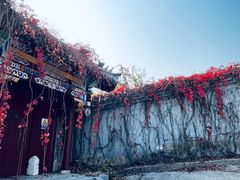 -北京西山国家森林公园