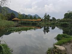 -花溪公园