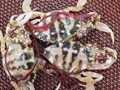 -金龙渔港(双楠店)