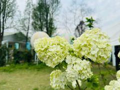 -同里国家湿地公园