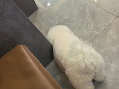 -半岛宠物医院24小时(西派城店)