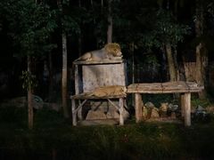 -清迈夜间动物园