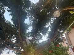-邛海景风火盆烧烤(大石板古村二分店)