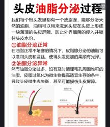 -Bollins波林丝•专研护发中心