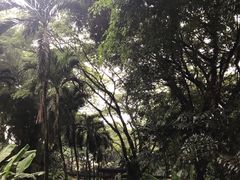 -新加坡飞禽公园