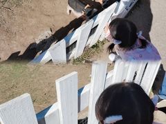 -前小桔亲子创意农场·草莓采摘·露营烧烤