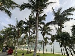 -三亚太阳湾柏悦酒店