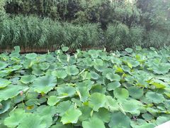-温都水城·水梦奇缘