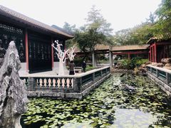 -顺峰山公园