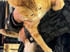 -逃脱反斗城沉浸剧情密室(北京路店)