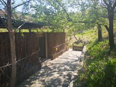 -潭柘厚院&山顶烤肉(潭柘寺店)