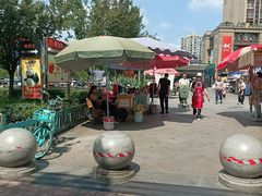 -成都动物园