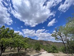 -鹫峰国家森林公园