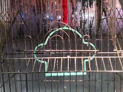 -草原塞蛮羊火锅城(港湾店)