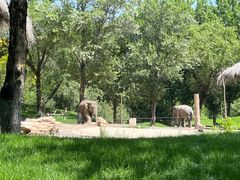 -北京野生动物园