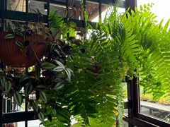 -野蔓果·山野菜(西湖景区·龙井茶田店)