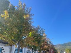 -北京西山国家森林公园