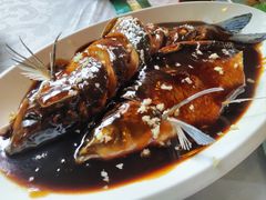 西湖醋鱼-山外山菜馆(玉泉路店)