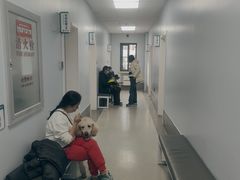 -中国农业大学动物医院