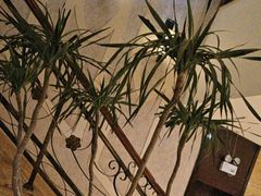 -益健·足疗汗蒸SPA(芙蓉广场店)