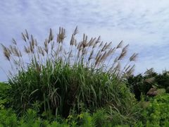 -嵊泗基湖沙滩