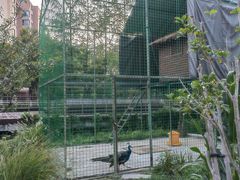 -梧桐人家中国太平国际健康颐养社区