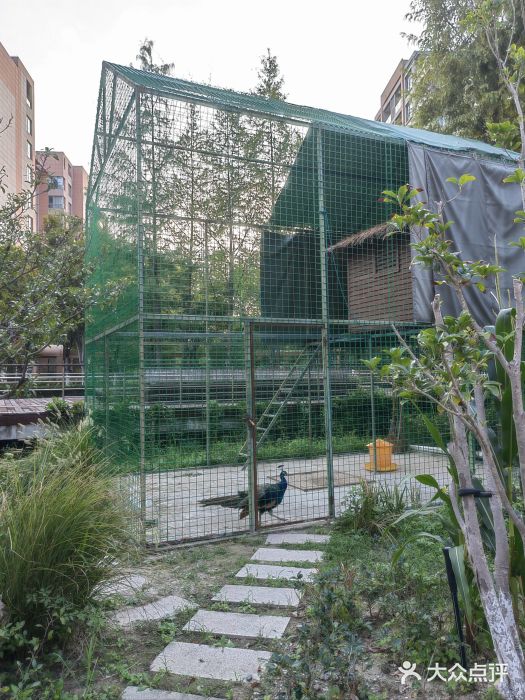 梧桐人家中国太平国际健康颐养社区图片