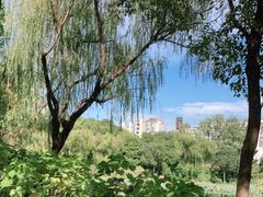 -新江湾城公园