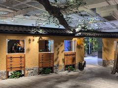 -大视光学•LINDBERG林德伯格•全球手工眼镜集合店(王府井店)