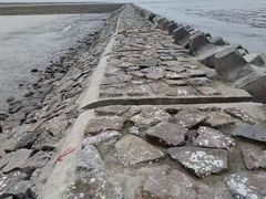 -南汇嘴观海公园