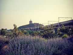 -永定河休闲森林公园